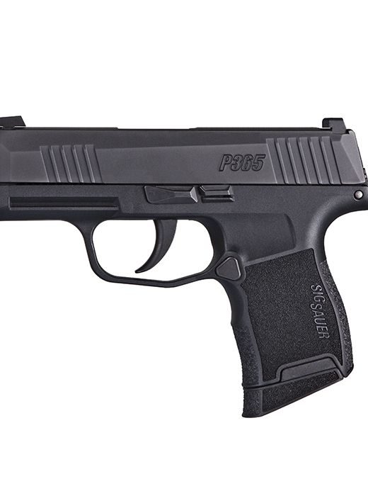Image of Sig Sauer P365 Nitron Micro-Compact 365-9-BXR3